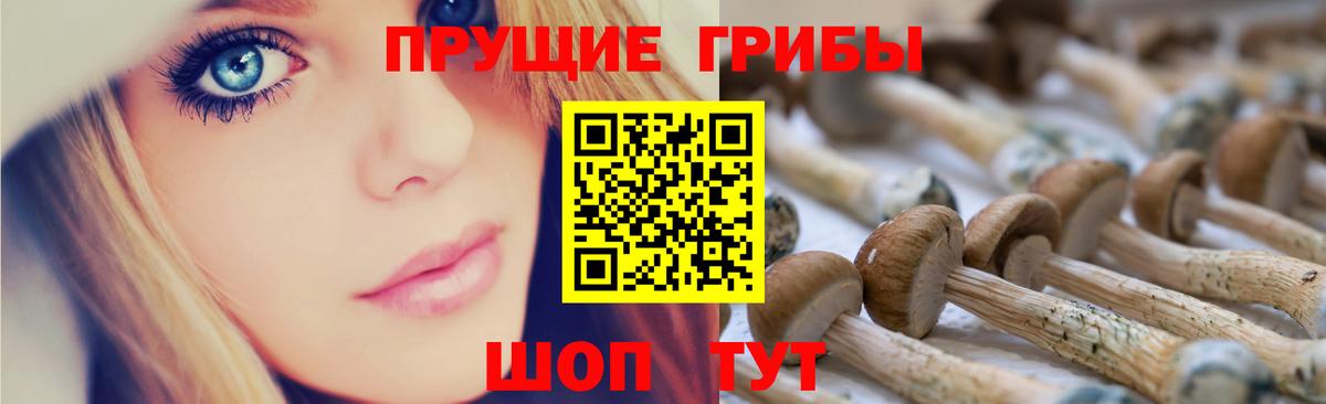 Алушта  Псилоцибиновые грибы мицелий  Вход с VPN 
